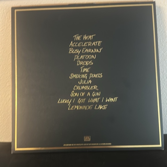 Jungle Vinyl Record with Gold Accents - Picture 3 of 7